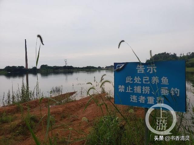 侦探犬夏多克漫画免费在线阅读:有谁能帮张玉环洗刷身上的疑点？