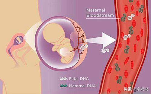 宝宝的血型决定智商吗，夫妻血型不一样生宝宝会有影响吗