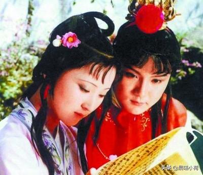 小斯比克斯鹦鹉图片:《红楼梦》中王熙凤明知王夫人心向着宝钗，为什么支持宝黛姻缘？