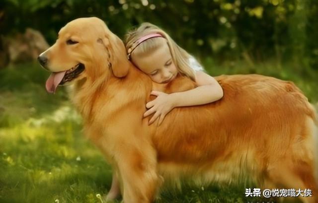 人与狗的历史:狗是什么时候被人类驯服成为人类的同伴？ 人与狗的历史追溯