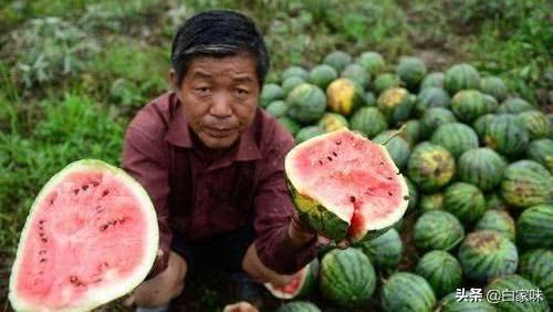 张秀萍简介:现在自媒体电商能改变农村现状吗？能否谈谈你的看法？