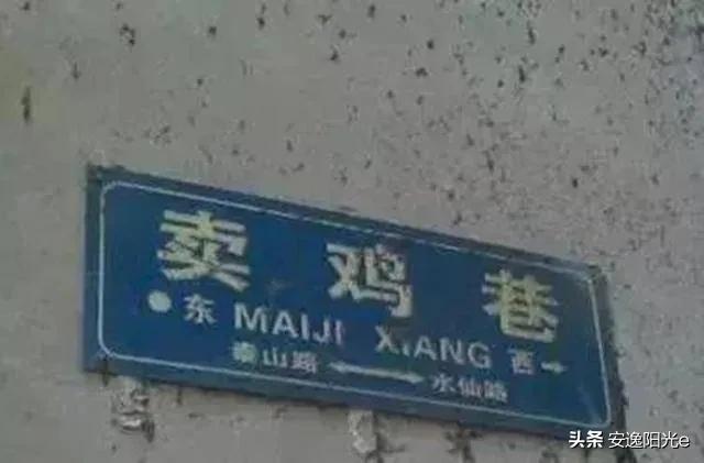 哥伦比亚盆地侏儒兔的个人空间:你见过哪些奇特的街名或巷名？