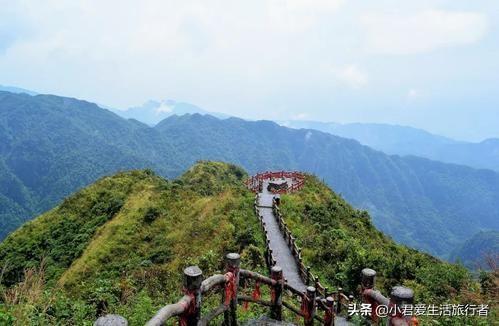 西伯利亚鼯鼠哪里有卖:全家人想去三亚旅游，行程应该如何制定？有哪些攻略推荐？