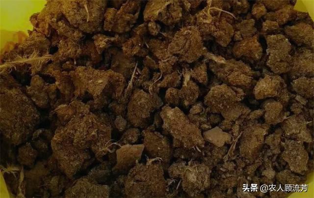 酵素菌发酵鸡粪:发酵鸡粪放尿素起什么作用？