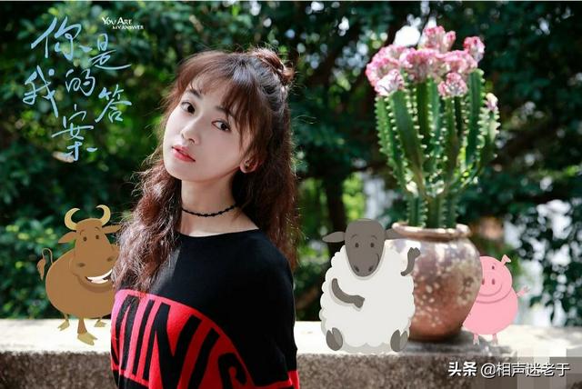 赵顺然:如何评价由郭晓东、吴谨言主演的电视剧《你是我的答案》？