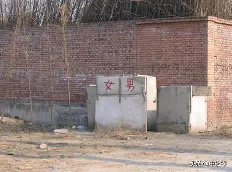 一条宠物狗掉进粪坑在线播放:掉进农村的粪坑是一种怎样的体验？