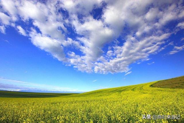 印度某乐园”大摆锤”断裂，假如你现在退休了，想出外旅游，你会选择去哪里旅行