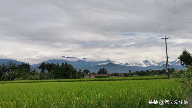 现在在农村做啥实体合适？