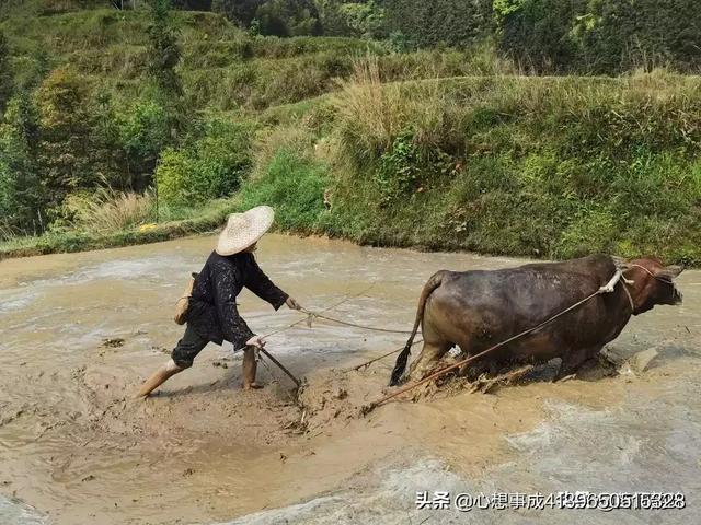 今年农历闰四月,给农民带来了一些什么？