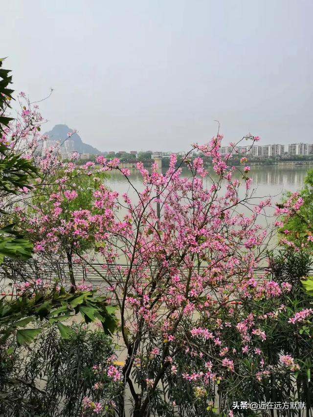 你觉得每天做什么可以提升自己有哪些正能量(怎么让自己充满正能量)