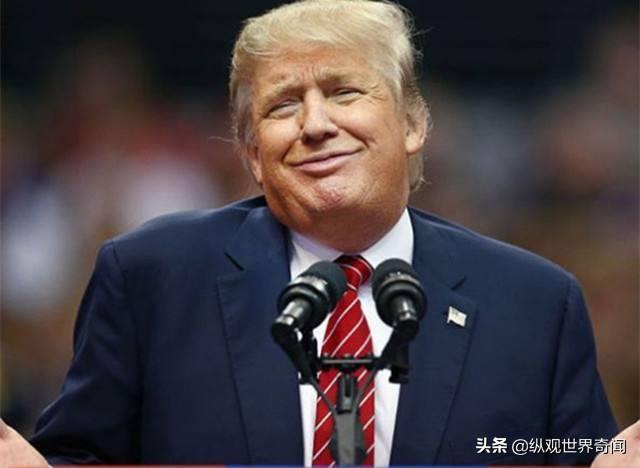 罗瑞康:你认为特朗普是愚蠢的政客还是精明的商人