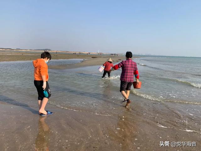 2020年做什么自由职业能月入五千呢？有没有好的门路？