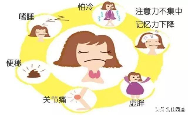 甲状腺功能减退有何症状