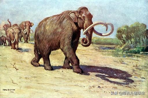 十大灭绝的可怕古生物，史前人类时期存在的可怕动物有哪些