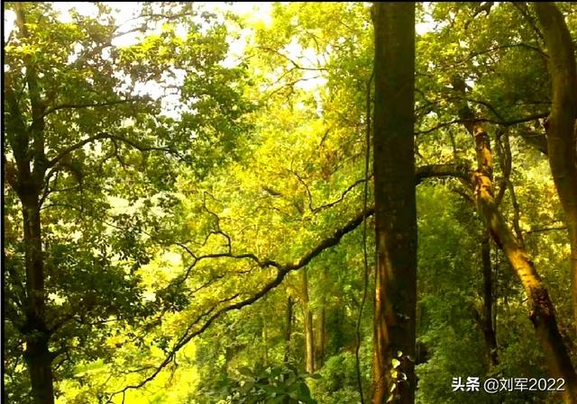 你们有过特别无助,特别伤心的时候吗？该怎么办？