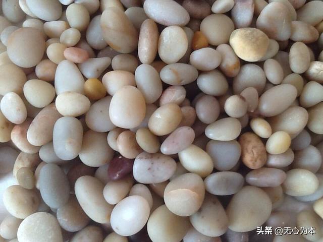 山东长岛县有什么玩的吗？