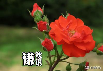 如何看待各国开始禁止做空股市？有哪些影响？