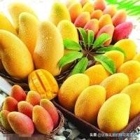 荔枝是凉性还是热性:荔枝热气，龙眼寒气，两水果同食是不是中和，更好