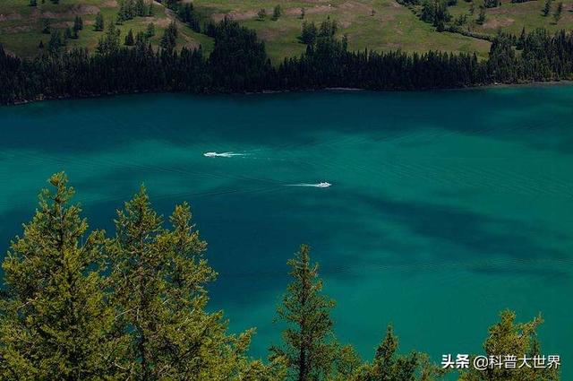 大型哲罗鲑:新疆喀纳斯湖面积不大，但是水量不少，而且有水怪出没，是这样吗