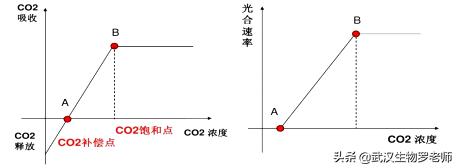 光能净百科:遛完狗，狗的脚太脏怎么办？ 光能净防护液