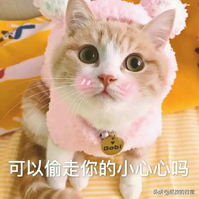 适合<a href=https://maguai.com/list/256-0-0.html target=_blank class=infotextkey>朋友圈</a>文案短句:有没有适合发<a href=https://maguai.com/list/256-0-0.html target=_blank class=infotextkey>朋友圈</a>的可爱文案？