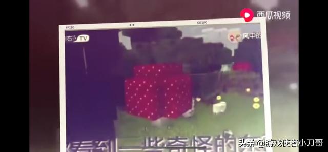 在我的世界中发现什么事最让你高兴？