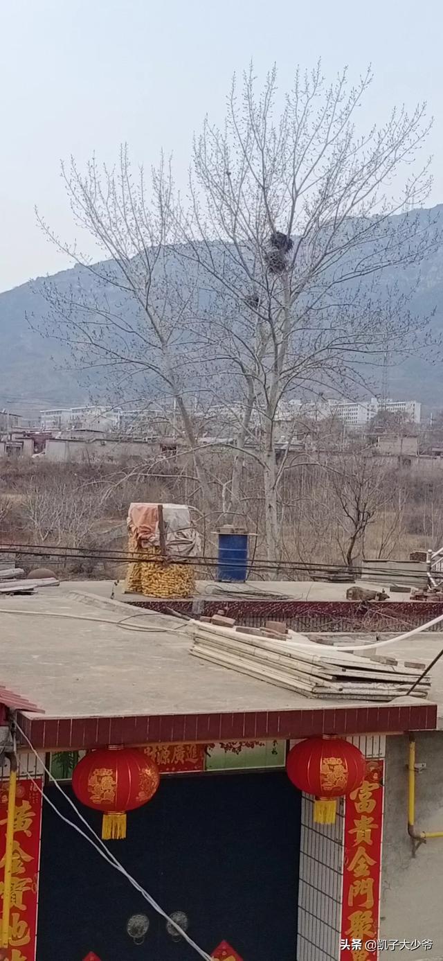 我儿子考上了石家庄铁道大学,这个学校怎么样？