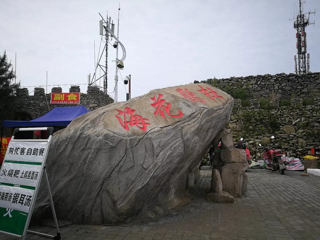 小狗种鲜花在线玩:为什么有些人玩游戏喜欢玩新区？