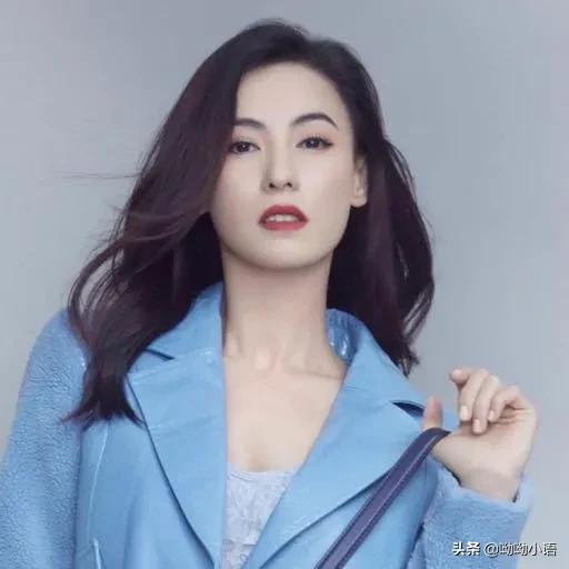 张柏芝谢霆锋近况:离婚后谢霆锋和张柏芝生活现状如何？