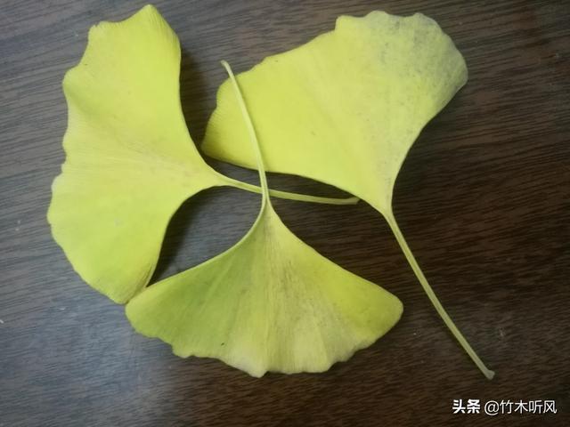 买户外产品的话选哪个户外品牌比较好？