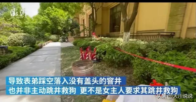 狗狗秘闻第二季百度云:一只低智商的狗狗会有哪些行为？ 狗狗秘闻免费完整版