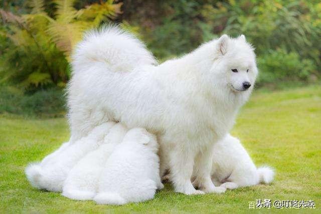 孕妇补钙过量后果:孕期需要一直吃钙片跟爱乐维吗？会不会因为补钙多而不好顺产？