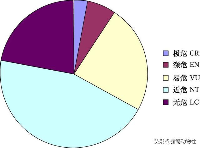 矛尾鱼灭绝了吗:为何近期频繁发现已经灭绝动物的出现？