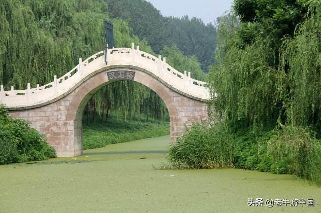 北大港湿地观鸟路线:天津周边一日自驾游有什么好地方吗？求推荐？