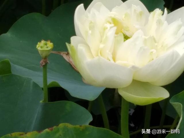 我大姑子一家人都长期住在我家,我心里不舒服,这正确吗？