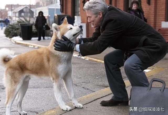 忠犬小八:有什么适合小个子女学生的淘宝店铺推荐吗？