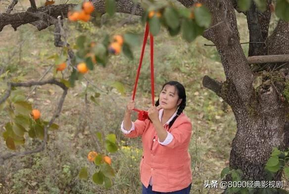 岁岁年年柿柿红的演员:如何评价沈行在《岁岁年年柿柿红》中饰演的王长安？