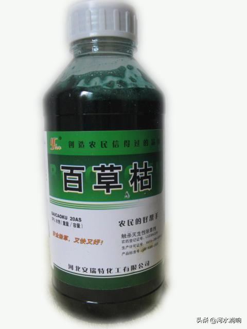 头条问答 - 条友们,今年玉米地用了除草剂,明年想种植大葱有药害吗?