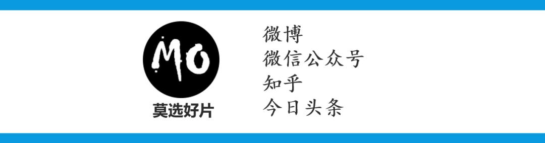 全球影史top100，谁是全球票房最高的十大导演