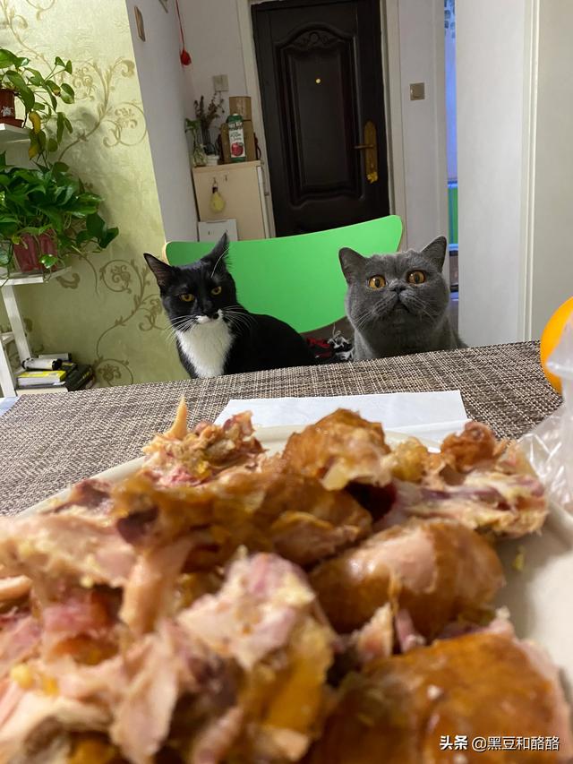 养猫好吗:家里有小孩子，是不是不适合养猫了？必须要送走猫咪吗？