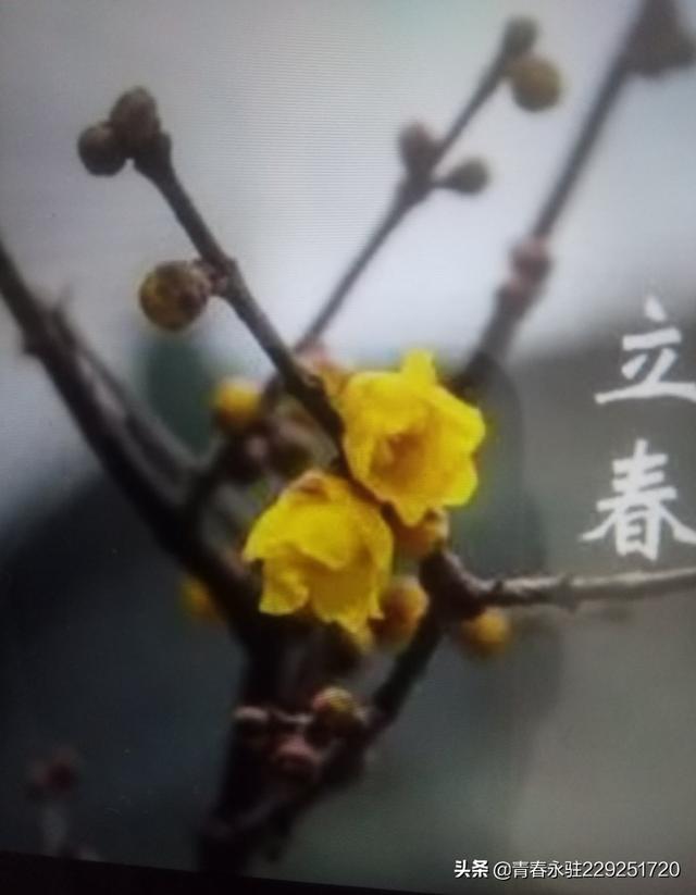 今天是立春,几点打春,打春有啥说法？