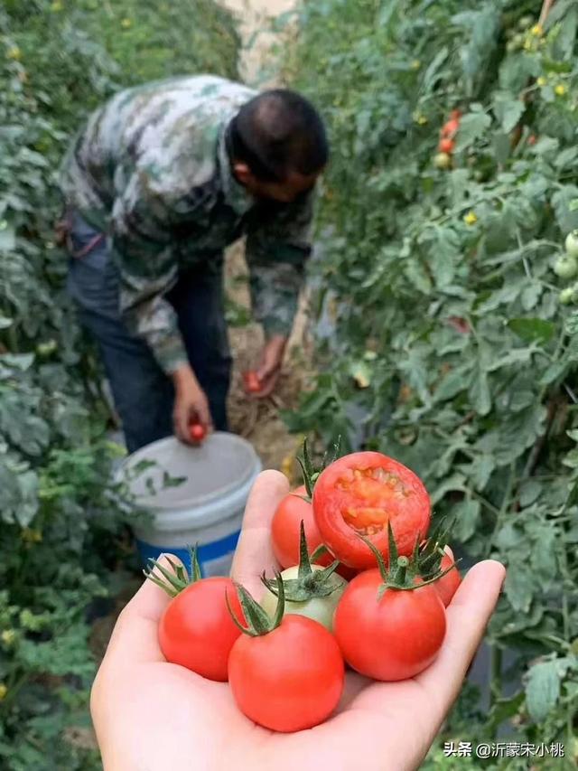 西安一餐厅设免费爱心冰箱：西安一餐厅设免费冰箱