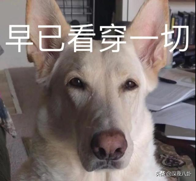 隐蔽的角落结局解析:隐秘的角落，究竟隐秘在哪里能否解析一下