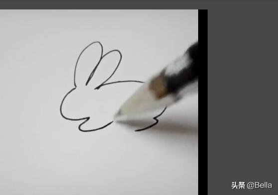 如何画出简单可爱的小兔子？(画画教程可爱小动物小兔子)