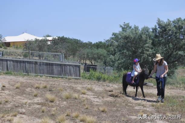 墨尔本是哪个国家的:澳大利亚首都堪培拉是座什么样的城市？