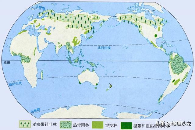 如果现在地球上的森林面积增加一倍,会有什么变化?-惠修网