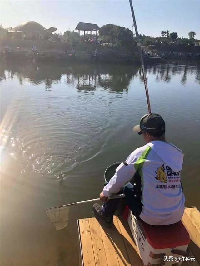 中华雀鸟论坛手机版:一直不明白钓鱼者的心态，不是为了吃，是在追求什么感觉吗？