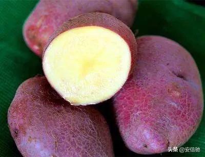 安徽碧桂园灵异事件:碧桂园旗下的“碧乡”这个品牌是做什么的？