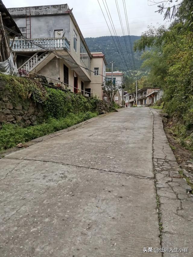 林舒语:青岛中学会录取什么样的学生？