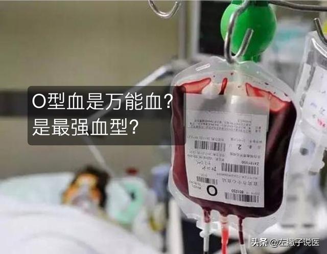 宜嘉abo肉食动物:为什说o型血是最强血型？O型血有哪些优势？